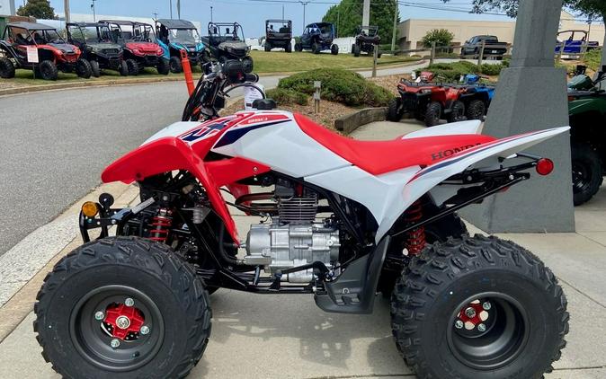 2024 Honda® TRX250X