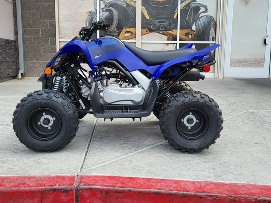 2025 Yamaha Raptor 110