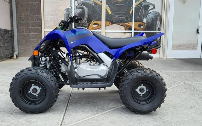 2025 Yamaha Raptor 110