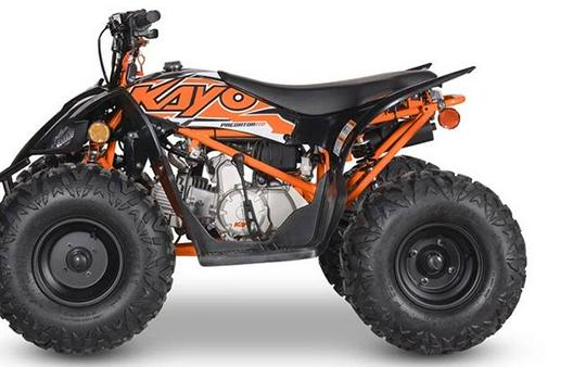 2025 Kayo Predator 110