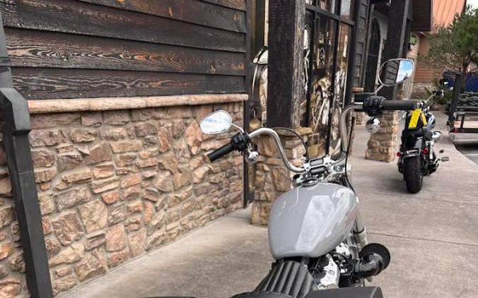 2024 Harley-Davidson SOFTAIL STANDARD