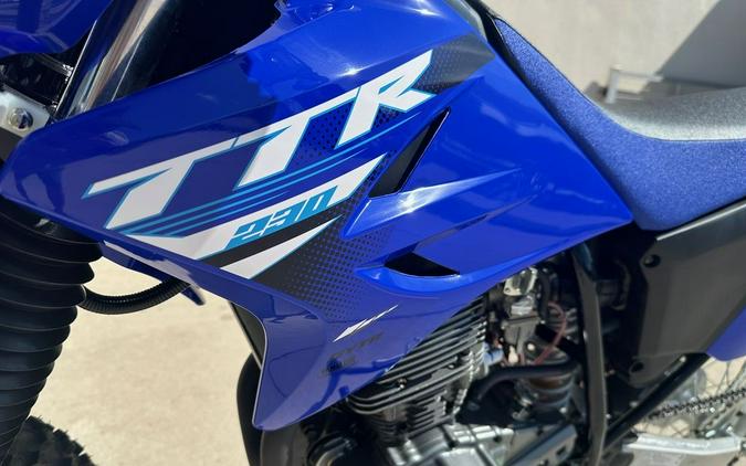 2025 Yamaha TT-R 230