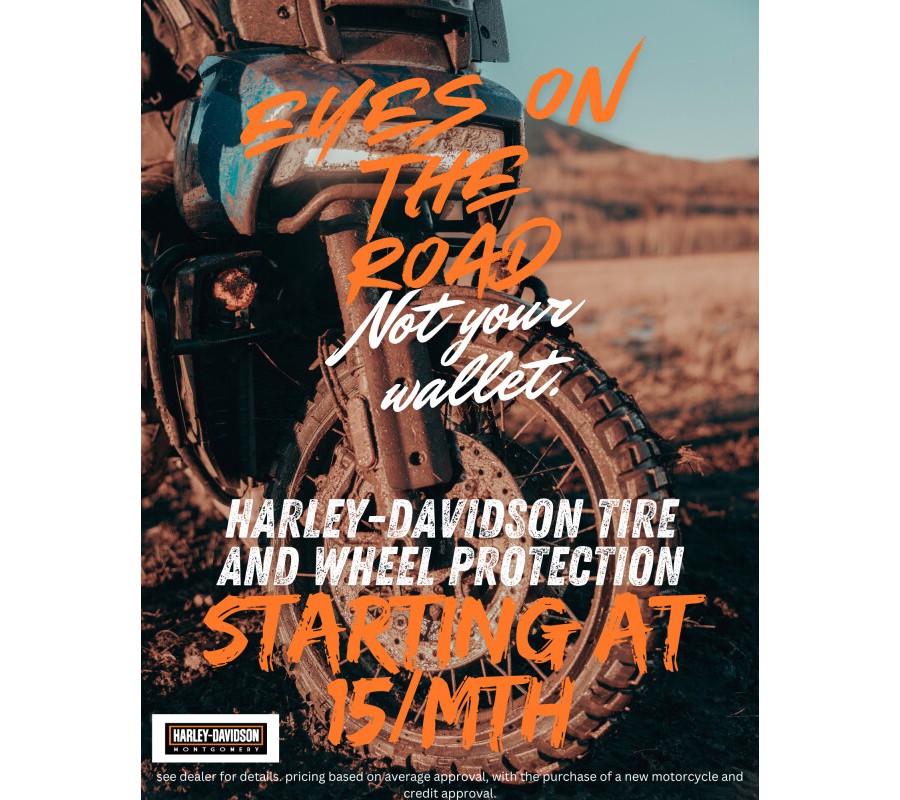 FLHR 2019 Road King®