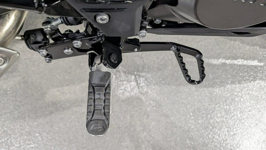 2025 BMW G 310 GS Style Rallye