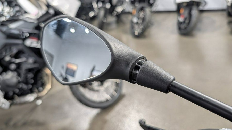 2025 BMW G 310 GS Style Rallye