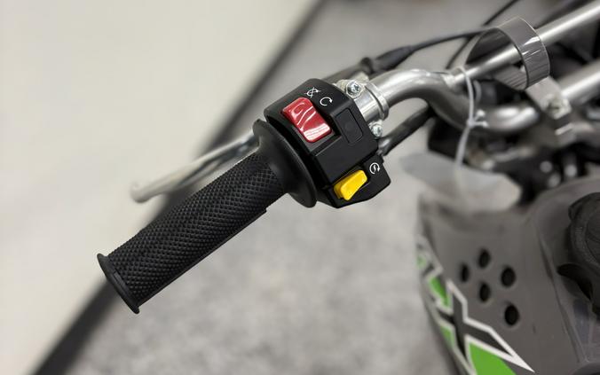 2025 KAWASAKI KLX 110R L - K2466