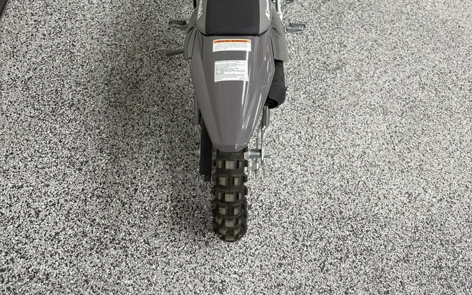 2025 KAWASAKI KLX 110R L - K2466
