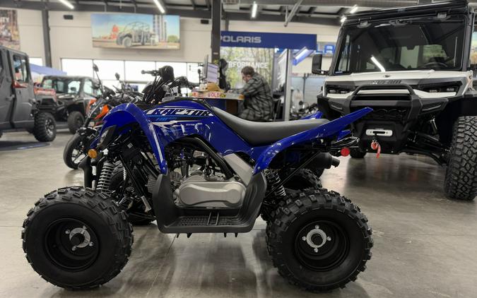 2026 Yamaha Raptor 110