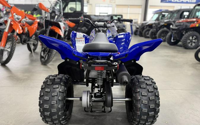 2026 Yamaha Raptor 110