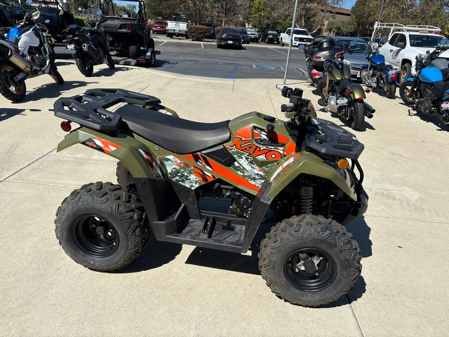 2025 Kayo BULL 300