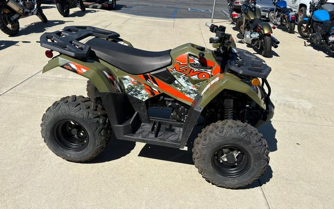 2025 Kayo BULL 300