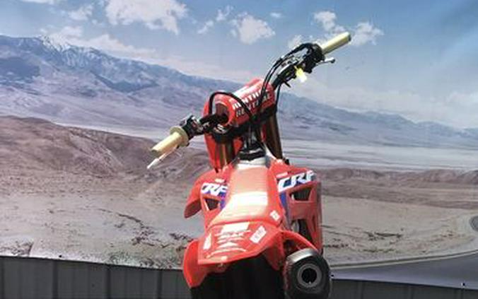 2024 Honda® CRF450RWE