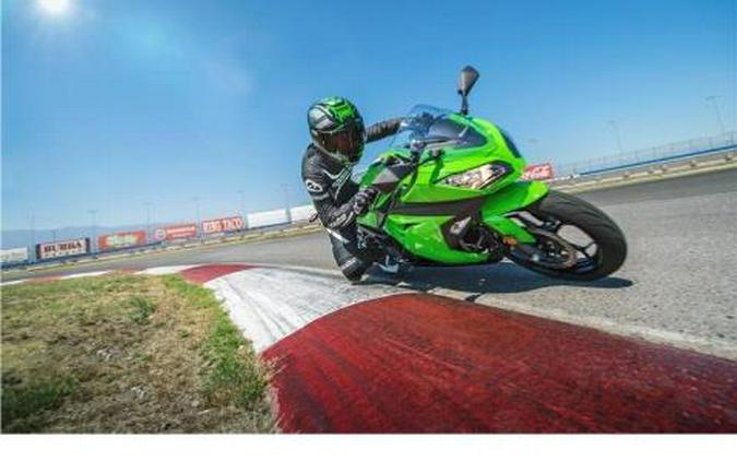 2015 Kawasaki Ninja® 300