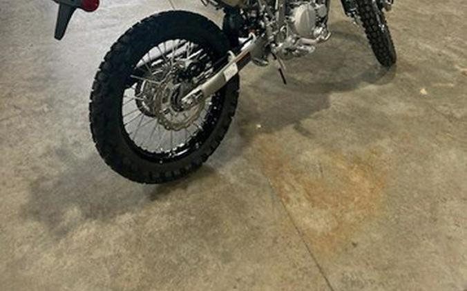 2026 Kawasaki KLX 300