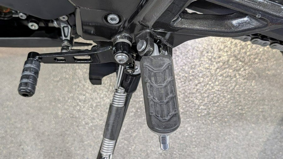 2025 BMW G 310 R Style Passion