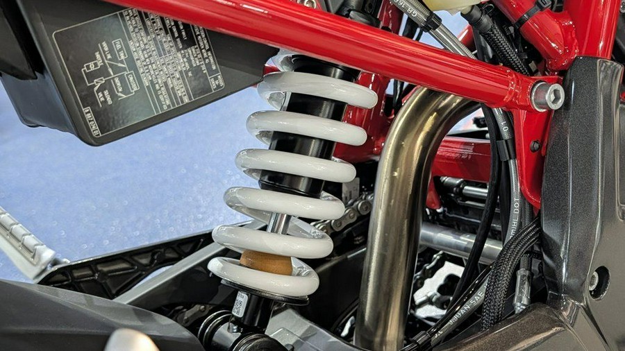 2025 BMW G 310 R Style Passion