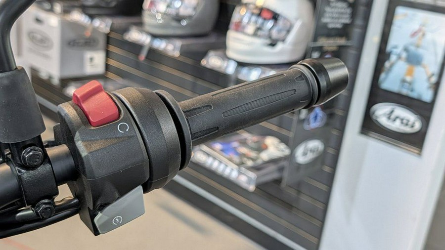 2025 BMW G 310 R Style Passion