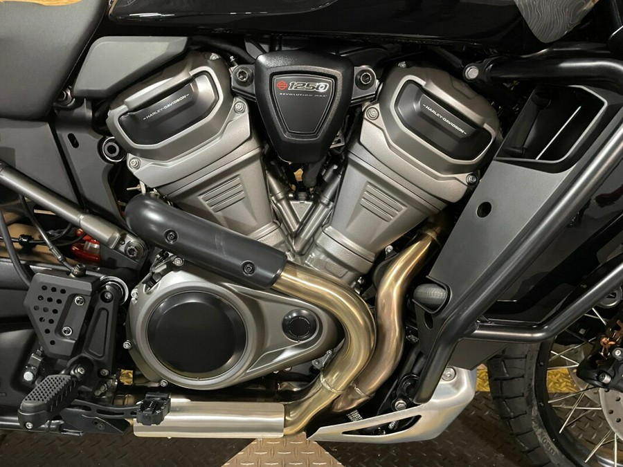 2025 Harley-Davidson Pan America 1250 Special