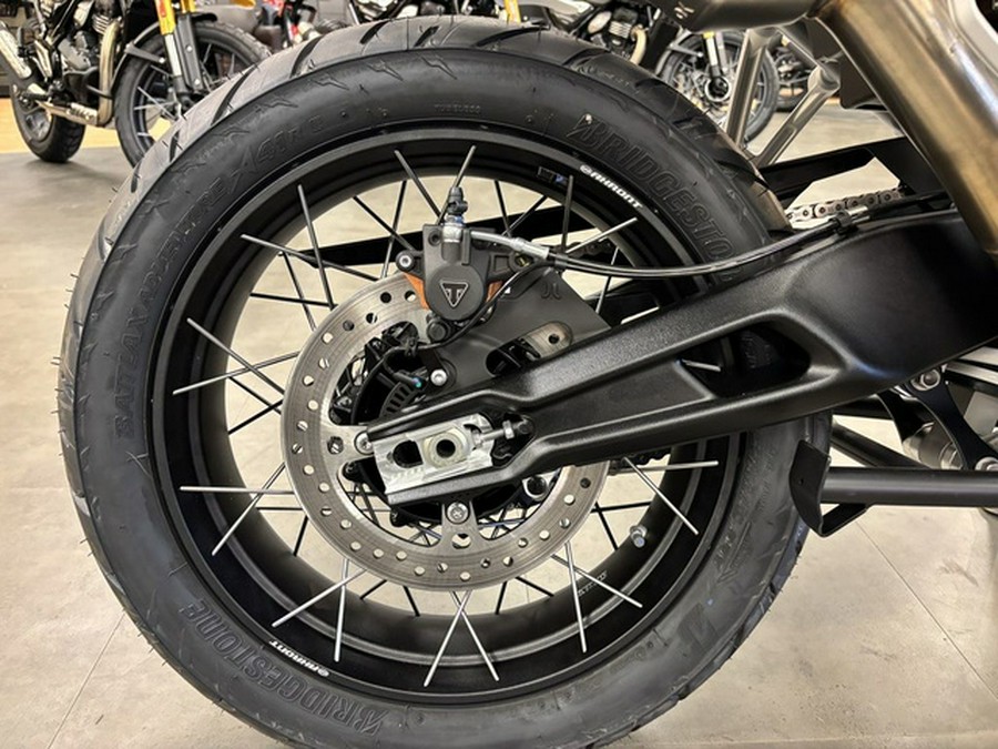 2026 Triumph Tiger 900 Desert Edition