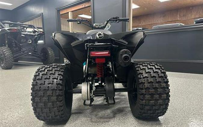 2024 Can-Am Renegade 110 EFI