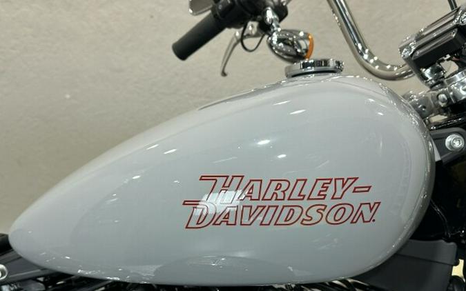 Harley-Davidson Softail Standard 2024 FXST 84476743 BILLIARD GRAY