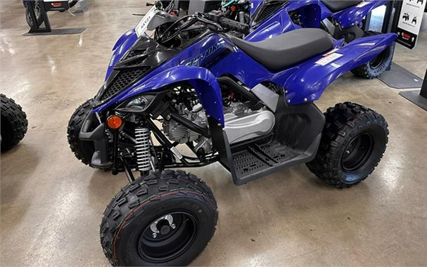 2025 Yamaha Raptor 110