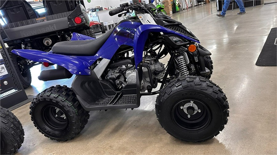 2025 Yamaha Raptor 110