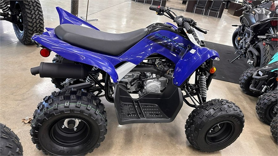 2025 Yamaha Raptor 110