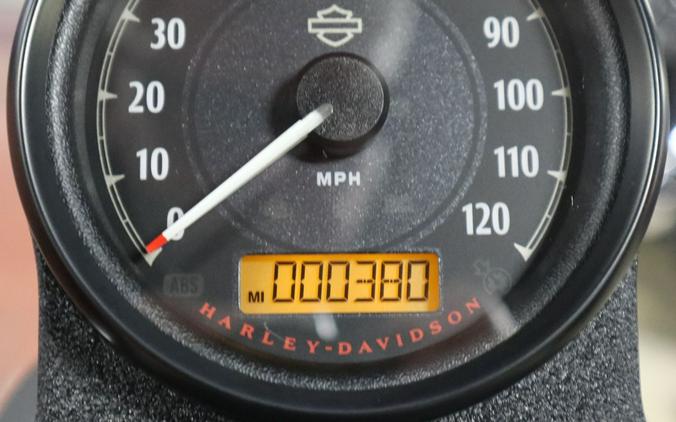 2022 Harley-Davidson Iron 883™