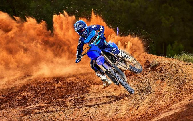 2022 YAMAHA YZ250F Team Yamaha Blue - UD2893
