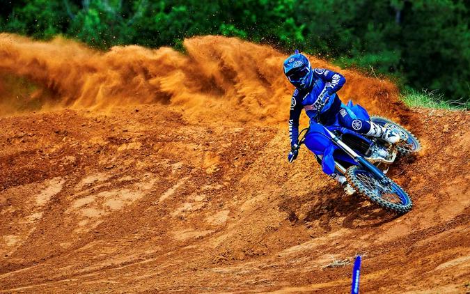 2022 YAMAHA YZ250F Team Yamaha Blue - UD2893