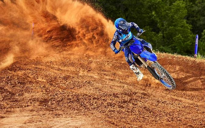 2022 YAMAHA YZ250F Team Yamaha Blue - UD2893