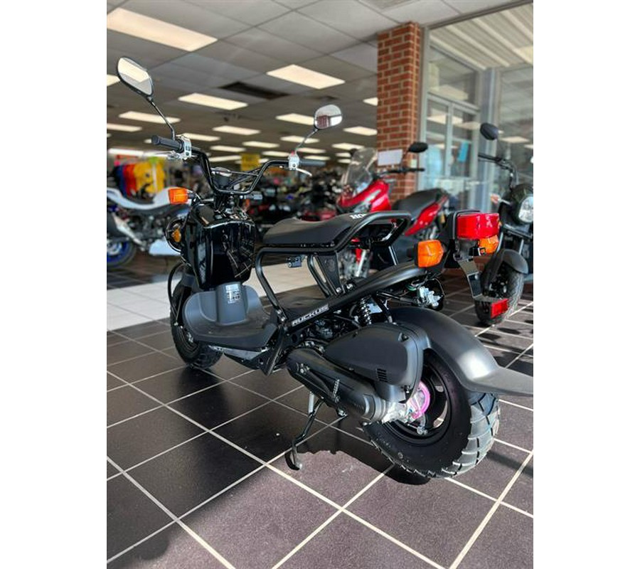 2024 Honda Ruckus