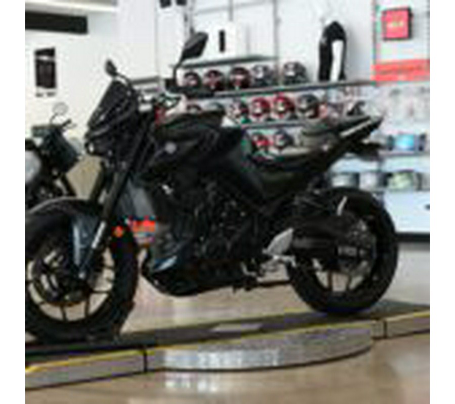 2024 Yamaha MT03