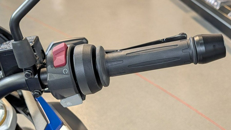 2025 BMW G 310 GS Style Sport