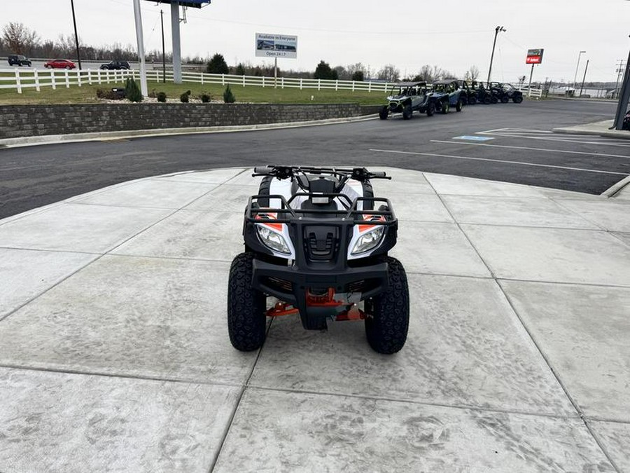 2026 Kayo Bull 150 EFI