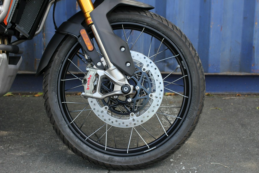 2026 Triumph Tiger 900 Desert Ediition