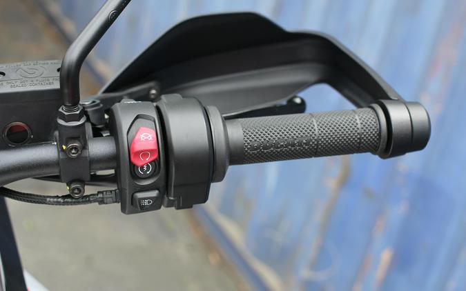 2026 Ducati Desert X Rally