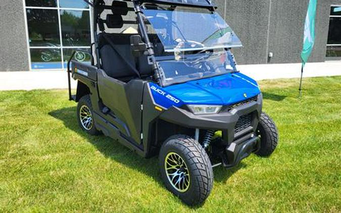 2024 Massimo Buck 250X Golf Cart