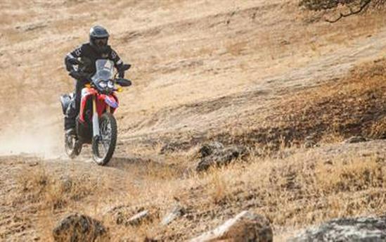 2017 Honda CRF250L Rally