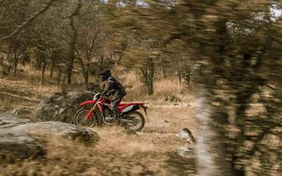 2017 Honda CRF250L Rally