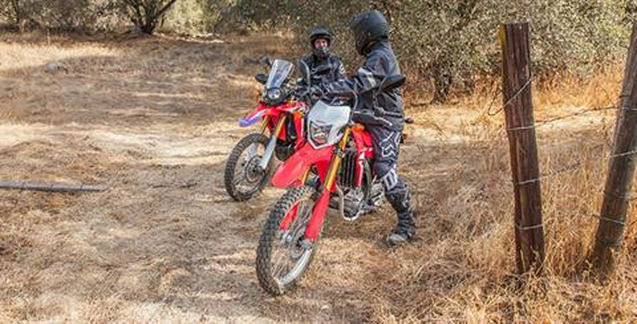 2017 Honda CRF250L Rally