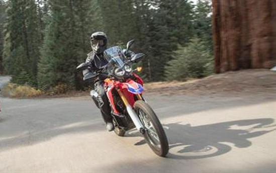 2017 Honda CRF250L Rally