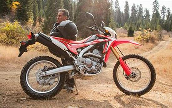 2017 Honda CRF250L Rally