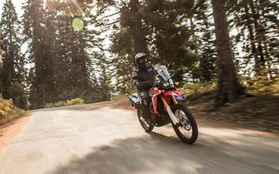 2017 Honda CRF250L Rally