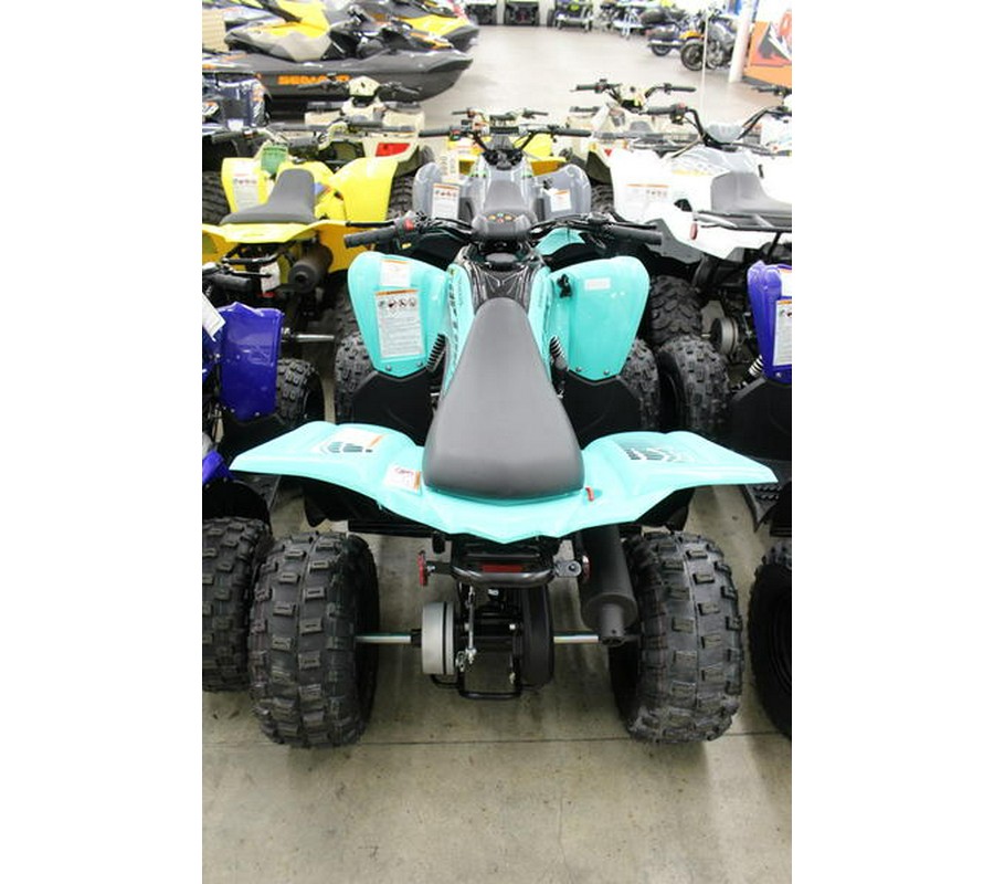 2024 Yamaha Raptor 110