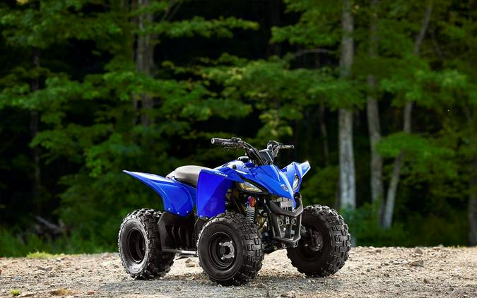 2023 Yamaha Motor Corp., USA YFZ50