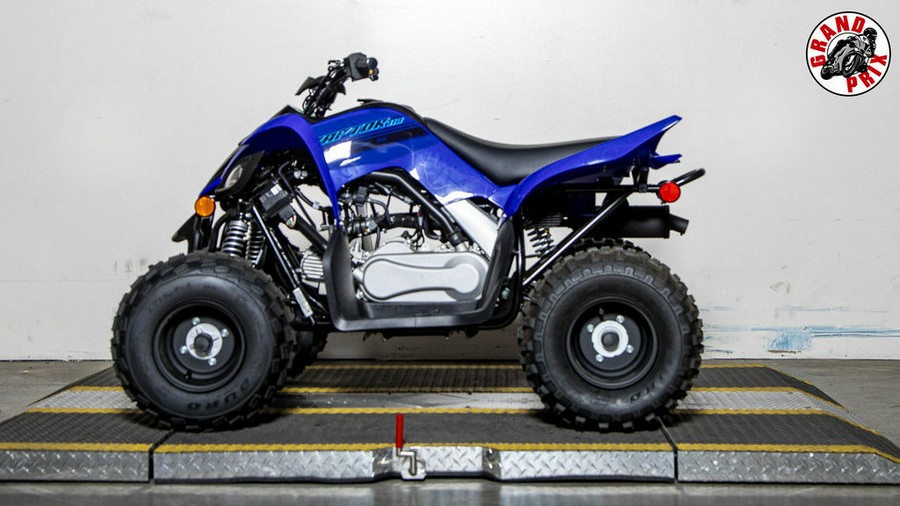 2024 Yamaha Raptor 110