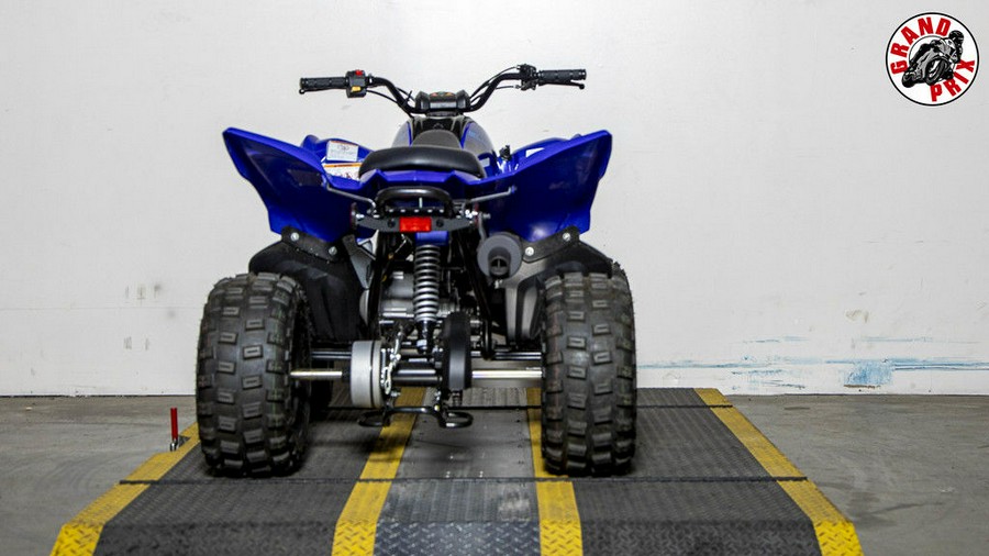 2024 Yamaha Raptor 110