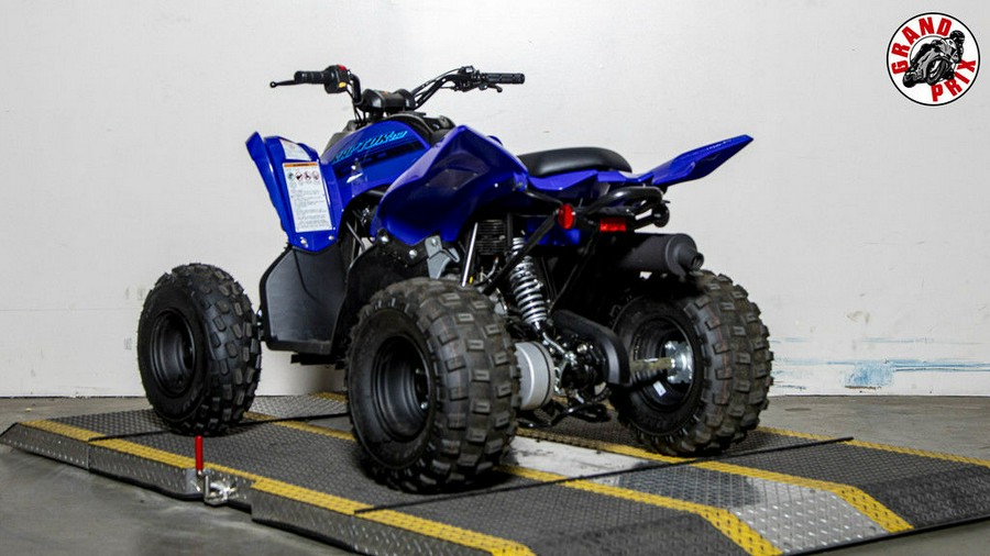 2024 Yamaha Raptor 110